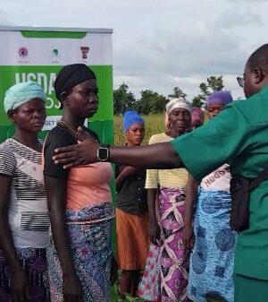 drought-resistant cowpea